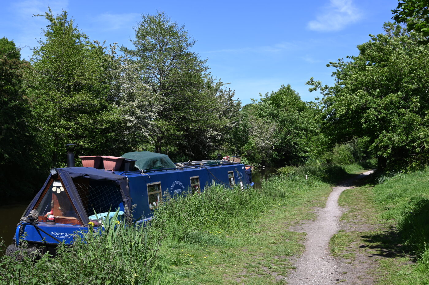 Macclesfield Canal Shot - 2026