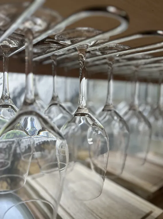 Wine glasses for a Knowles Green tasting